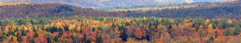 Taconic Region